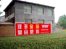 冷水江如何让墙体广告展现最大化效果
