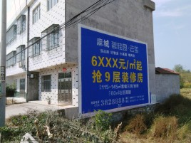 冷水江墙体广告质量分析